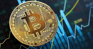 بیت‌کوین قیمت ۸۱ هزار دلار را پس گرفت